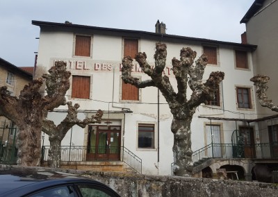 élagage d'arbre