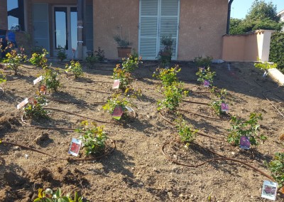 Création jardin et entretien