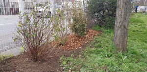 Vaulx-en-Velin Buisson Usine Ideal