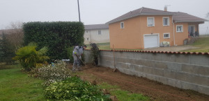 racines et mauvaises herbes éliminées