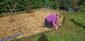 mise-en-place-bordure-massif